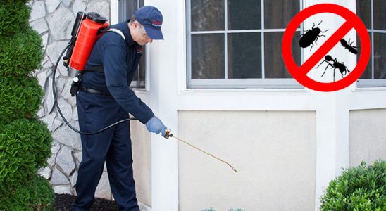Çorum Böcek ve Haşere İlaçlama böcek ilaçlama ve haşere kontrolü — ilaclama-tr.com